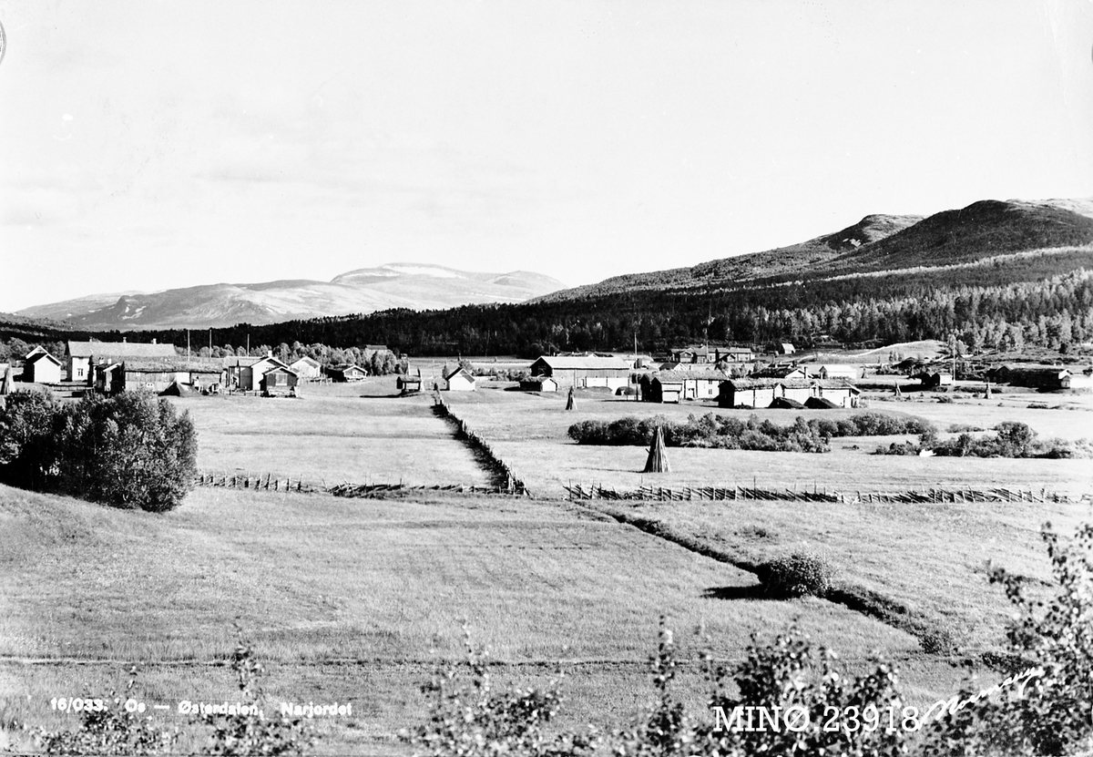 Carl Gustav Normann, Narjordet Os