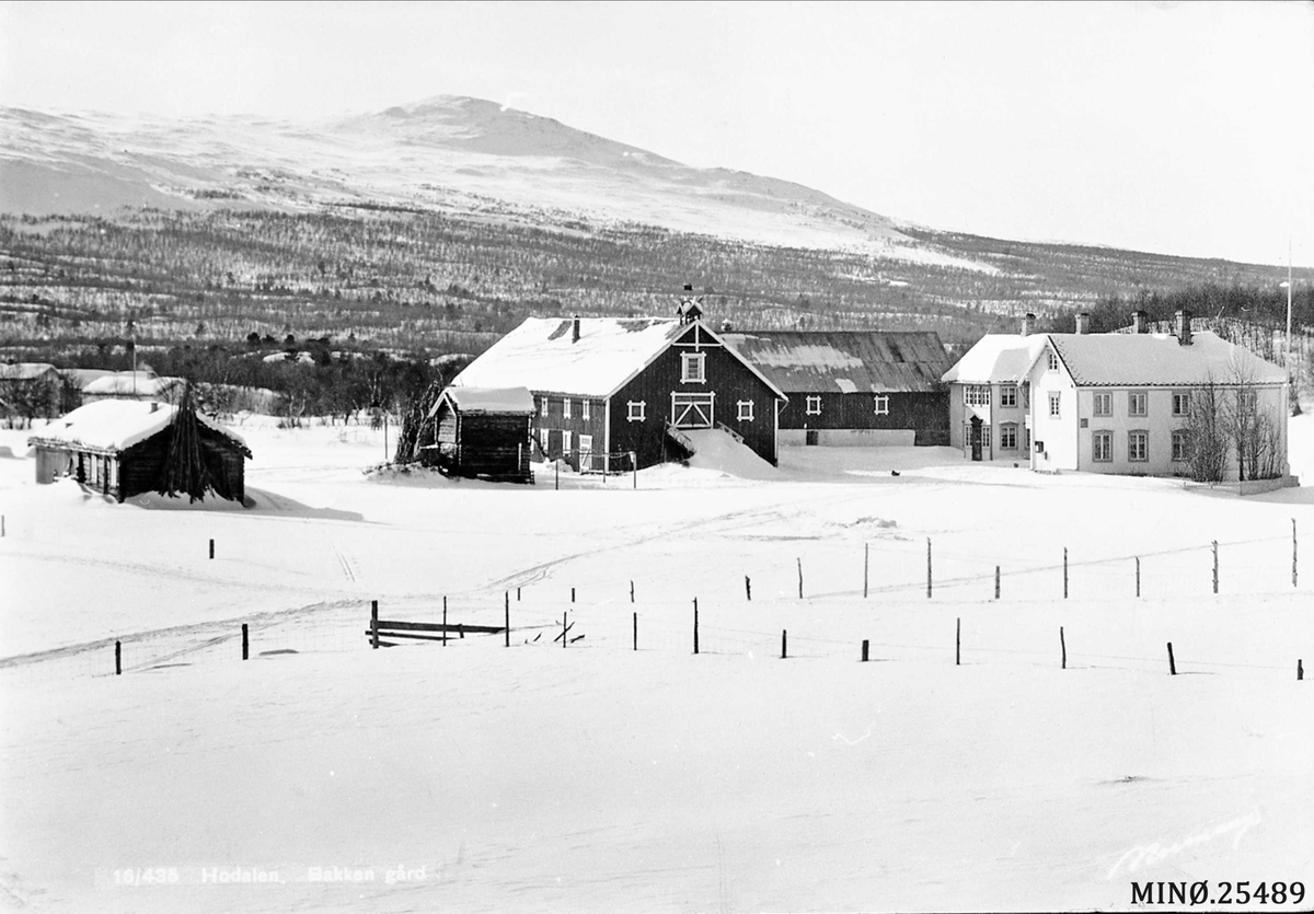 Carl Gustav Normann, Gardsbruk. Bakken gård i Hodalen, Tolga