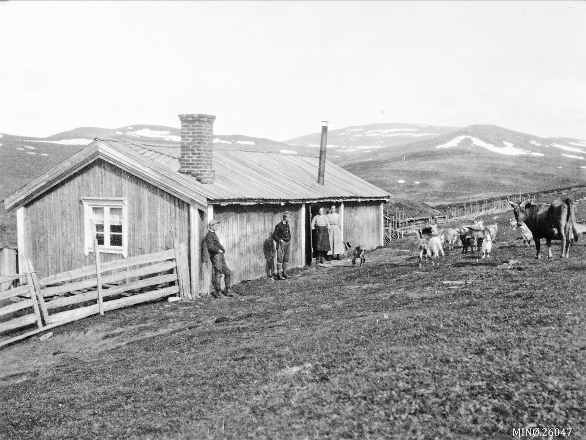 Ivar Ryen, Seterbilde. budeie Kari Ryhaug og Ingebrog Kjøllmoen.