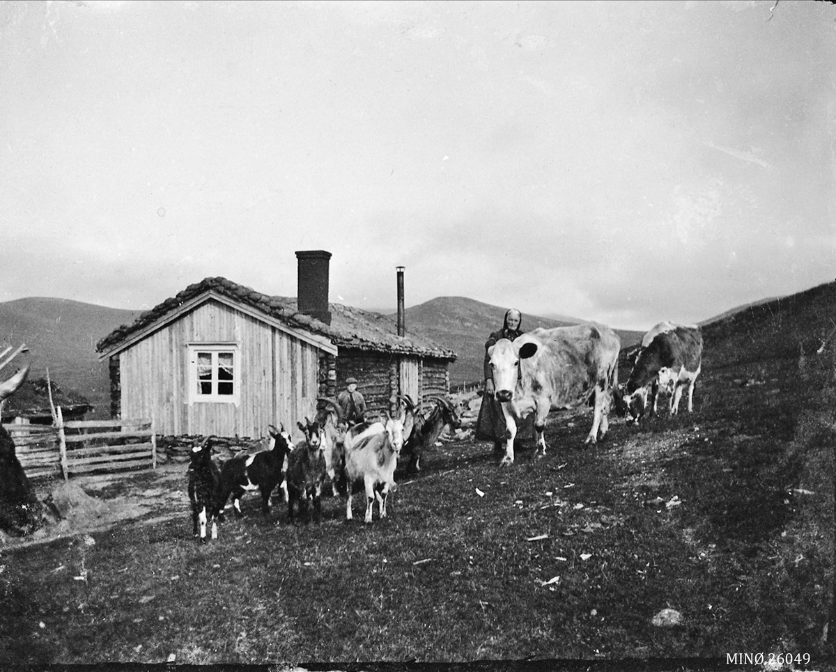 Ivar Ryen, Seterbilde. Ryhaugsetra. På bildet ser vi Marit Ryhaug og Hilmar Kroken