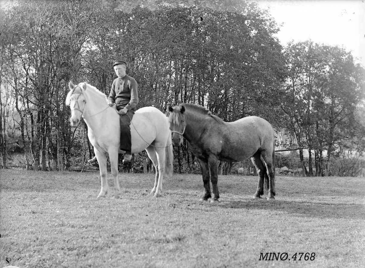 Peder J. Bredalslien, Mann med to hester