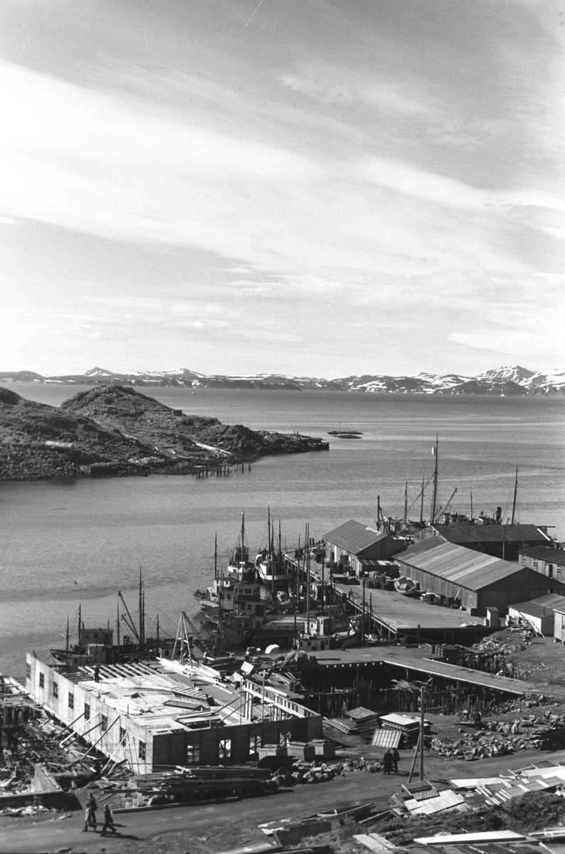 Ola Hanche-Olsen, NO.F003962