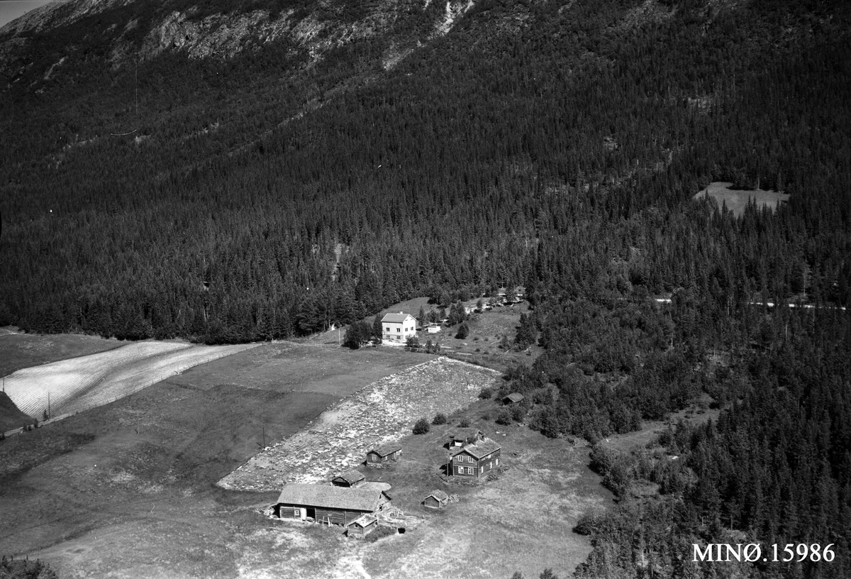 Widerøes Flyveselskap A/S, Gardsbruk, Brandvold, Borsen