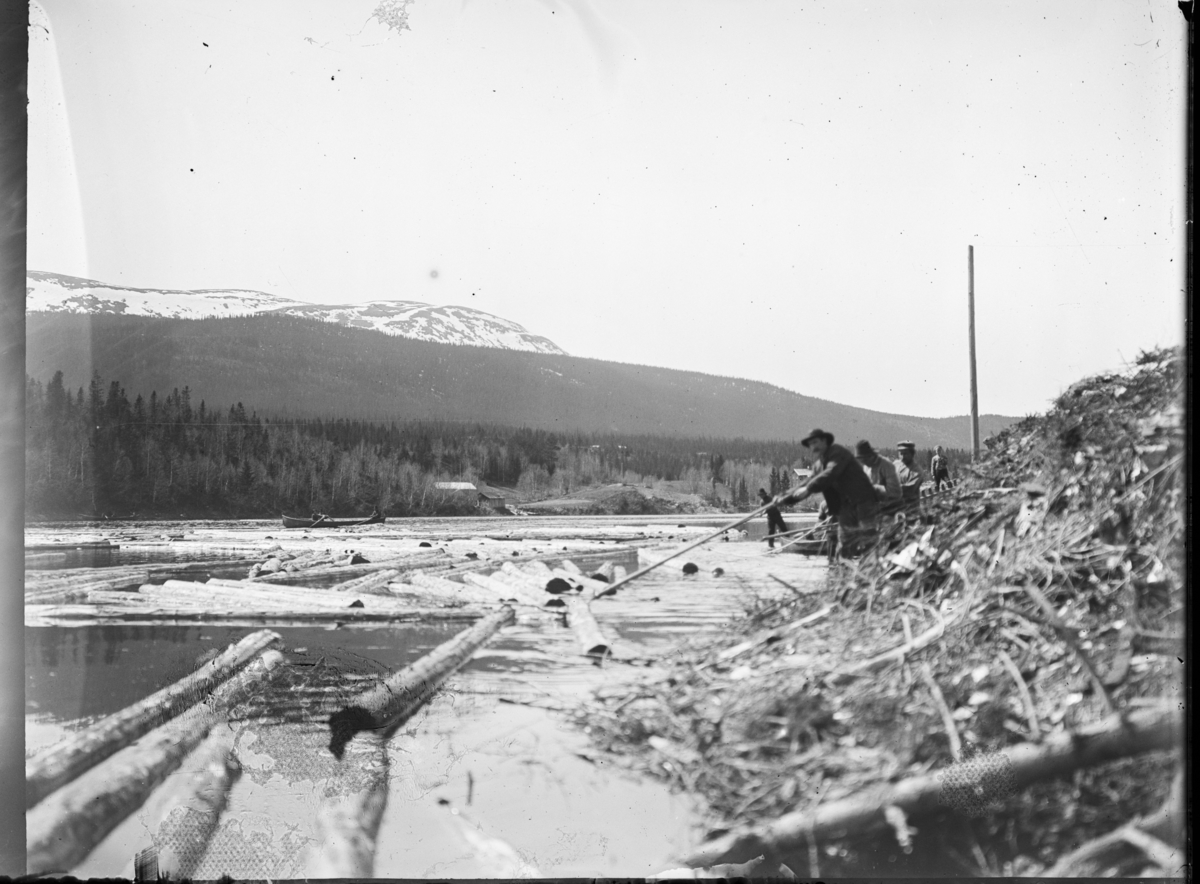 Otto W. F. Mejlænder, Trysilelva, fløtere, fløterbåt,tømmer,