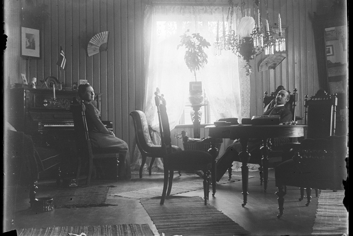 Johannes Larsen Alhaug, Interiør, stue, ukjente, møblement, planter, lampe, Alhaug?