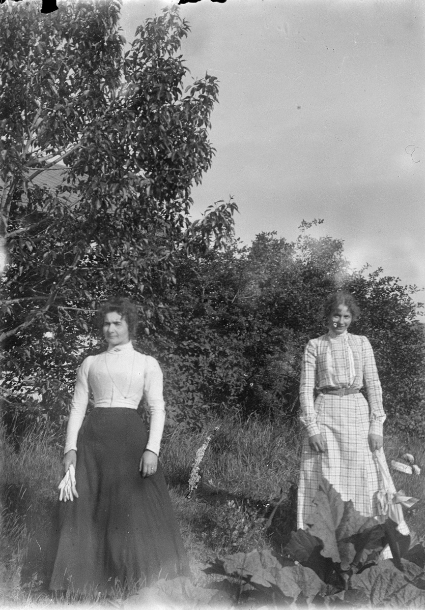 Johannes Larsen Alhaug, To ukjente damer, kvinnedrakter, sommer.