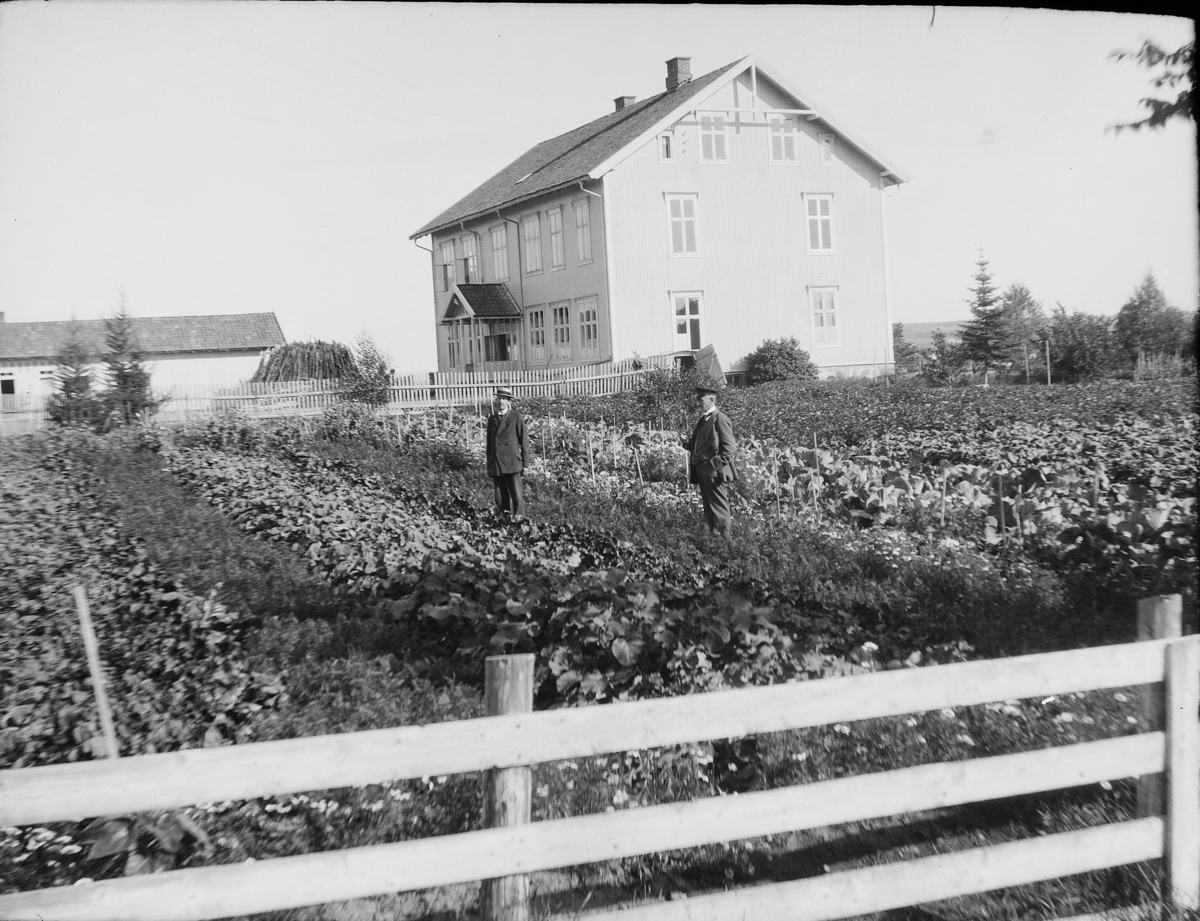 Karl Andreas Diesen, Fredvang skole, Vang, eksteriør, kjøkkenhage, skolehage,