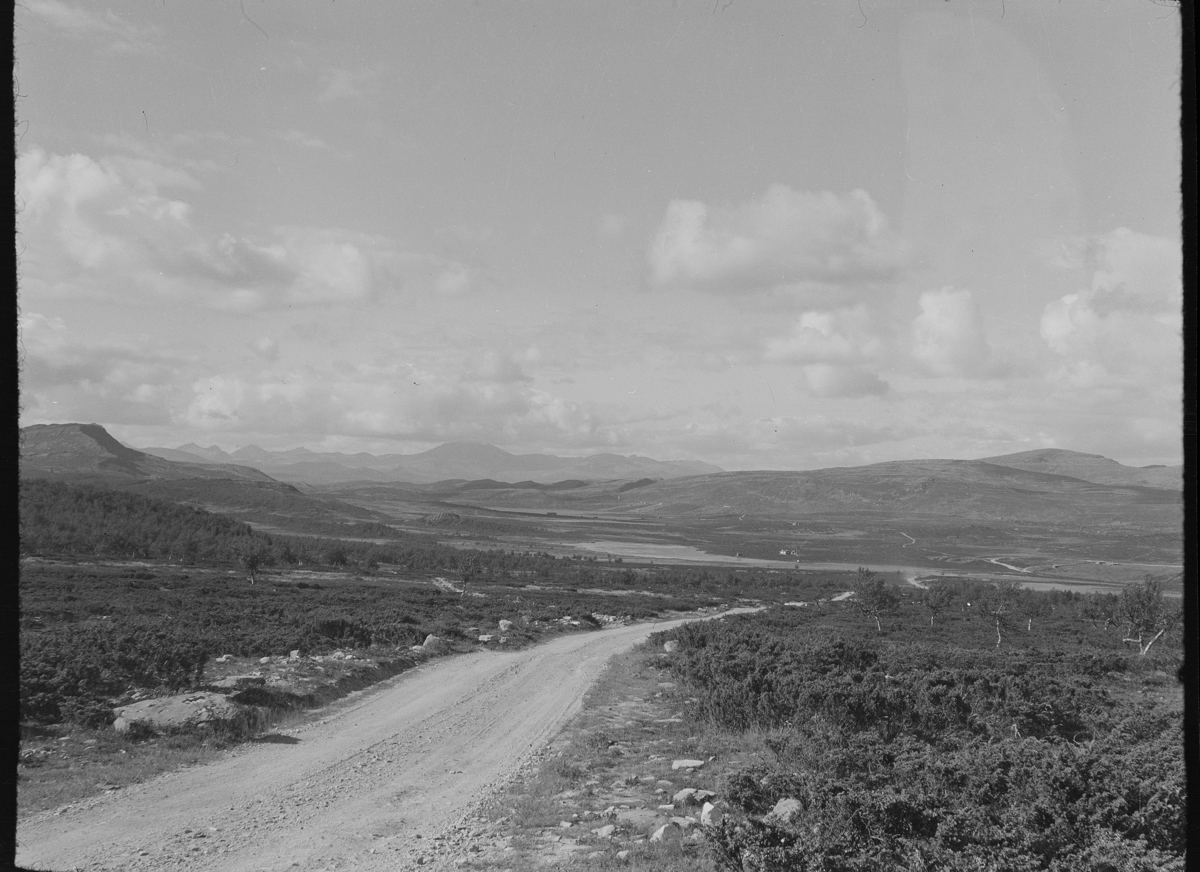 Karl Andreas Diesen, Ringebufjellet, landskap, grusveg,