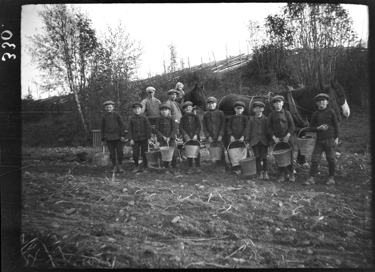 Karl Andreas Diesen, Vestre Diesen, 3-1. Hamar. Potetonna, potetplukkere, ukjente, sinkbøtter, hest