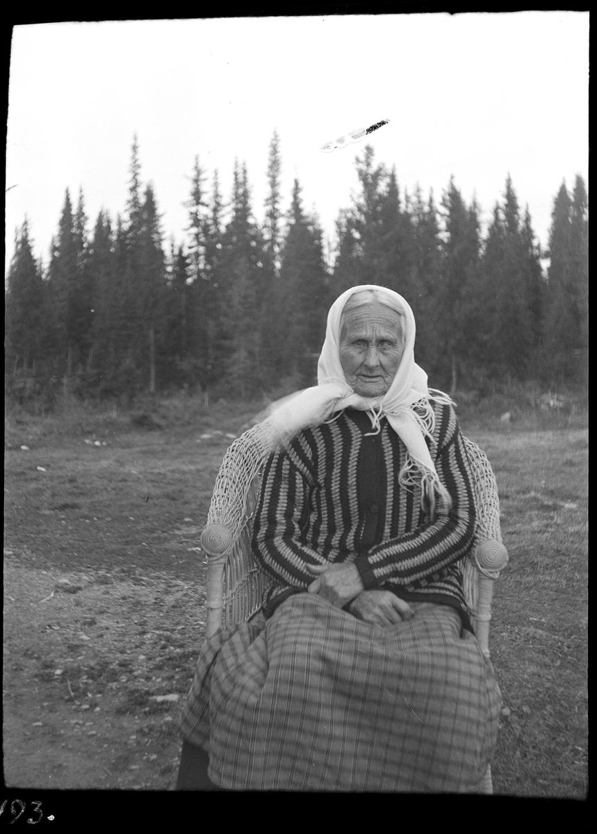Karl Andreas Diesen, Marthe Olsdatter Felungstad(?), Lismarka. Portrett