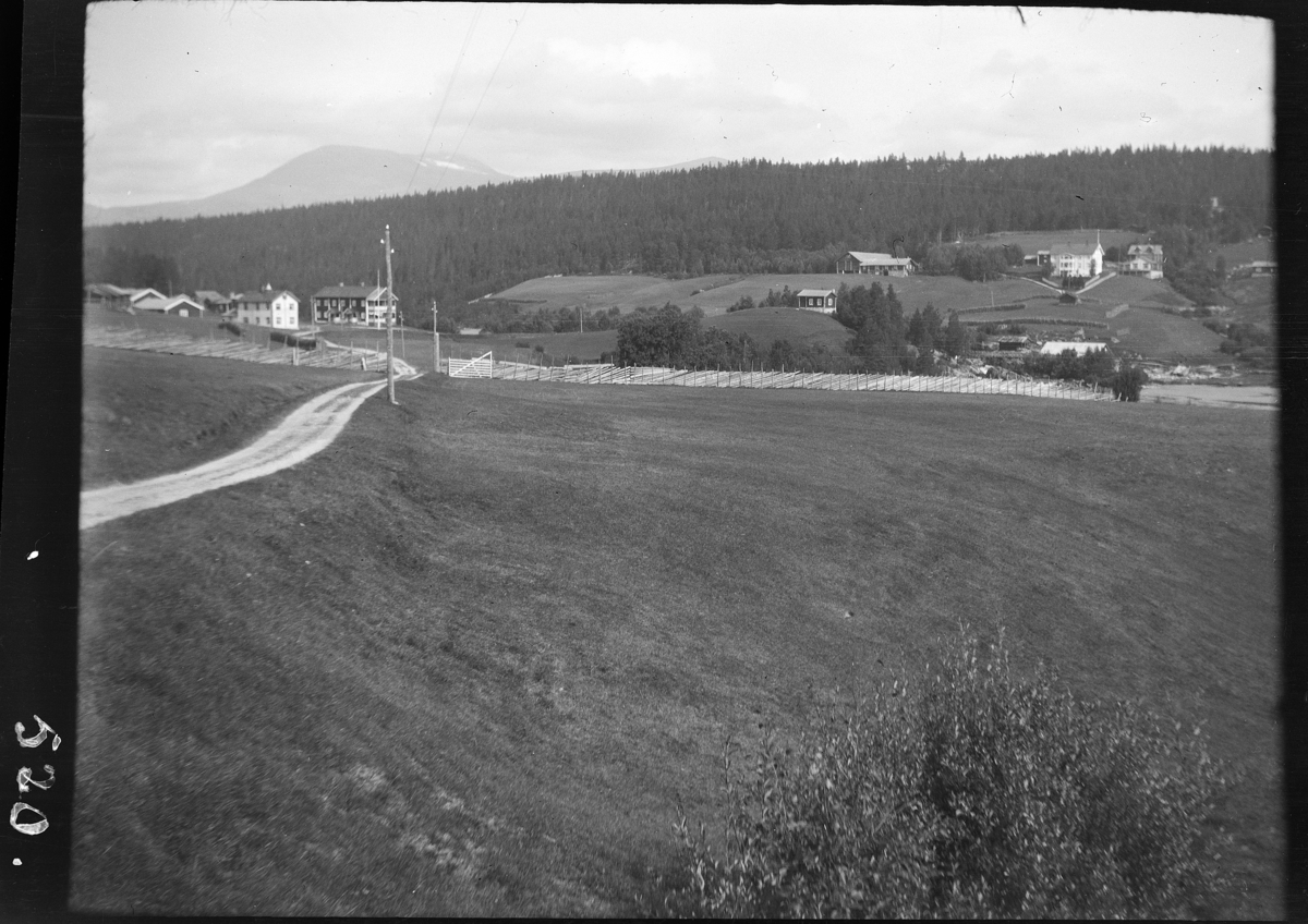 Karl Andreas Diesen, Atnabrua, landskap, garder,