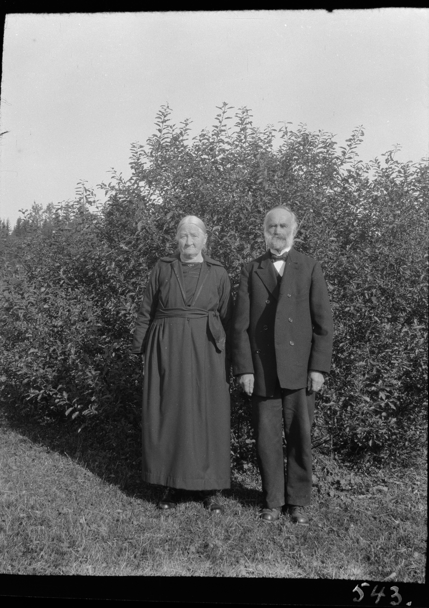 Karl Andreas Diesen, Gullbrudepar Marie og Johannes, etternavn ukjent, gift 10.12.1877, Pinødegården.