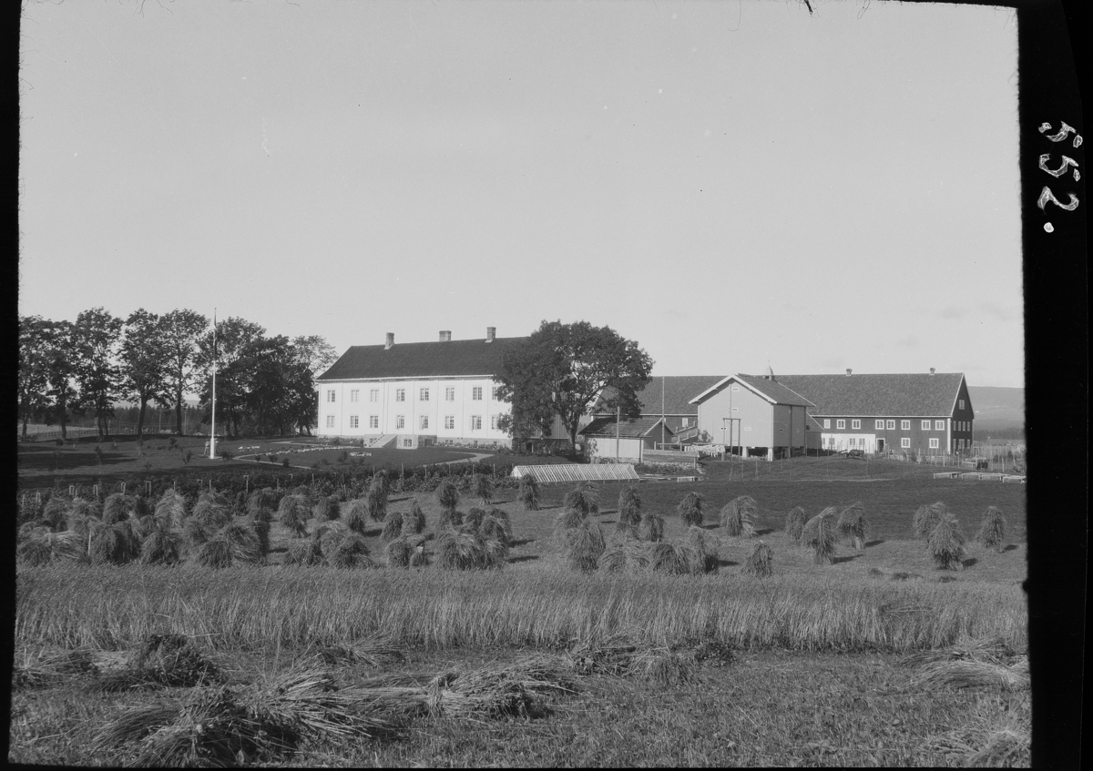 Karl Andreas Diesen, Blæstad gard, Småbrukerskole, hovedbygning, driftsbygning, stabbur, skuronn, kornsnes, Vang H.