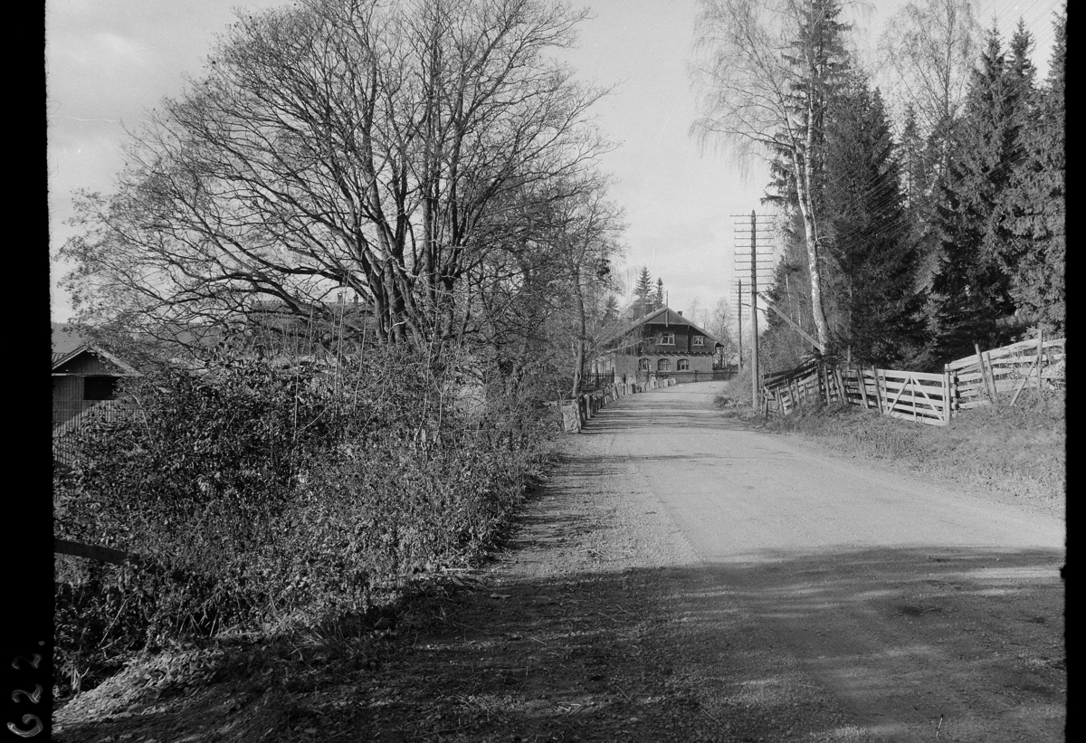 Karl Andreas Diesen, Stein gard, Ringsaker, riksveg 50, stabbesteiner, telefonmaster,
