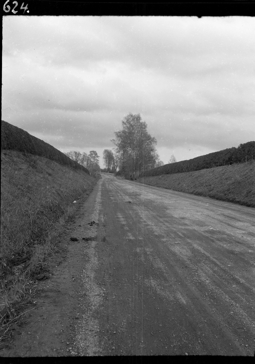 Karl Andreas Diesen, Ridabu, Åker, Elverumsvegen, granhekk,