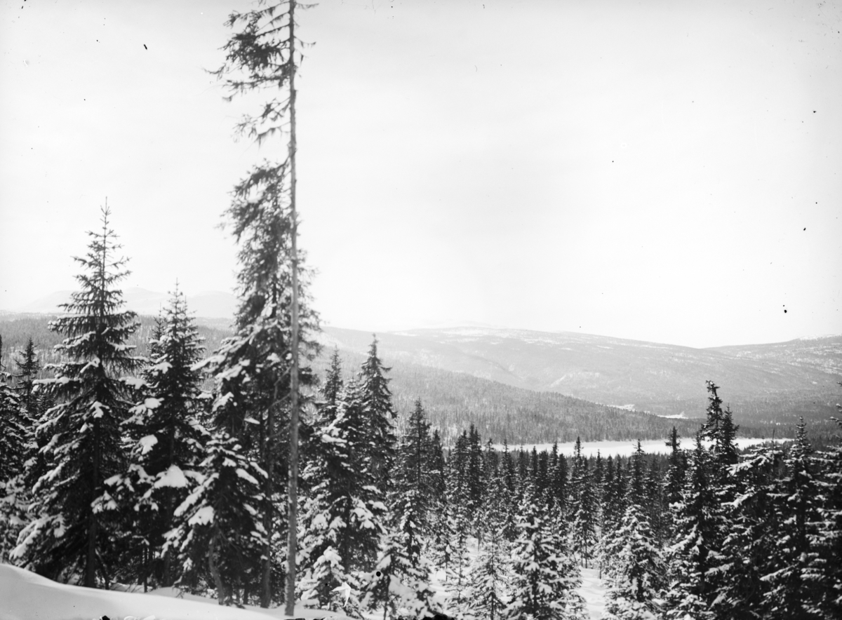 Otto W. F. Mejlænder, Fra Korsberget mot Fuglsjøen og Grimsåsen. Vinterlandskap.