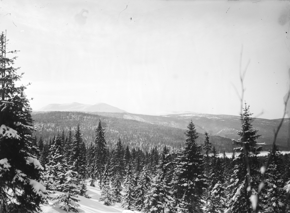 Otto W. F. Mejlænder, Fra Korsberget mot Fuglsjøen og Grimsåsen. Vinterlandskap.