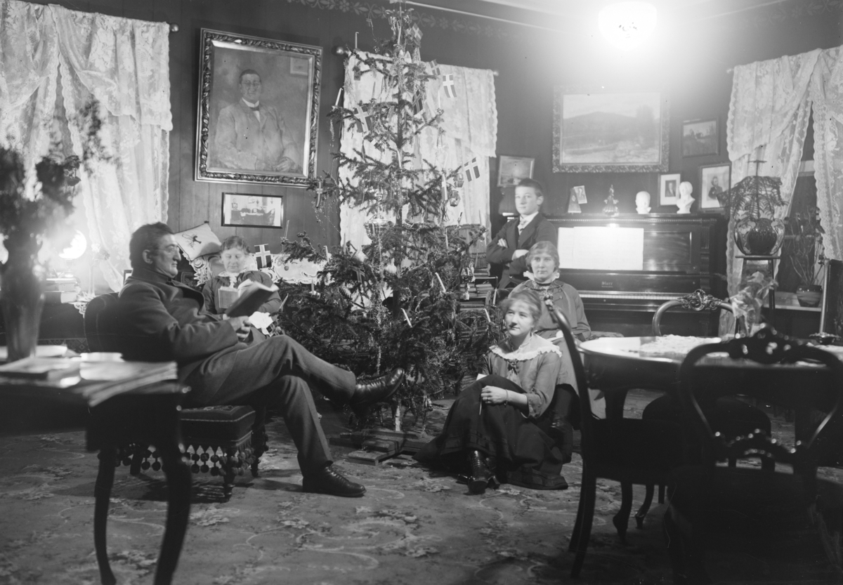 Otto W. F. Mejlænder, Dunk, interiør,stue, juletre