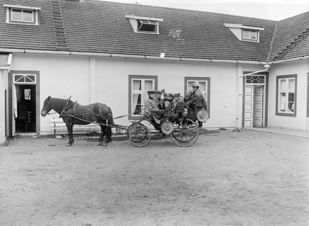 Otto W. F. Mejlænder, Legebolig Dunker, Nordre Bæk, Trysil, 1904-. Hest og trille.