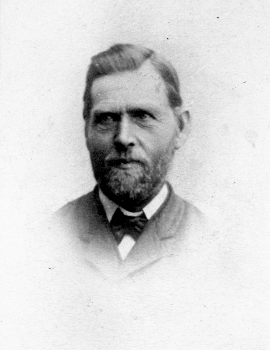 Anno Domkirkeodden, Hans Storlien, Baldishol Vestre, Nes H. Portrett.