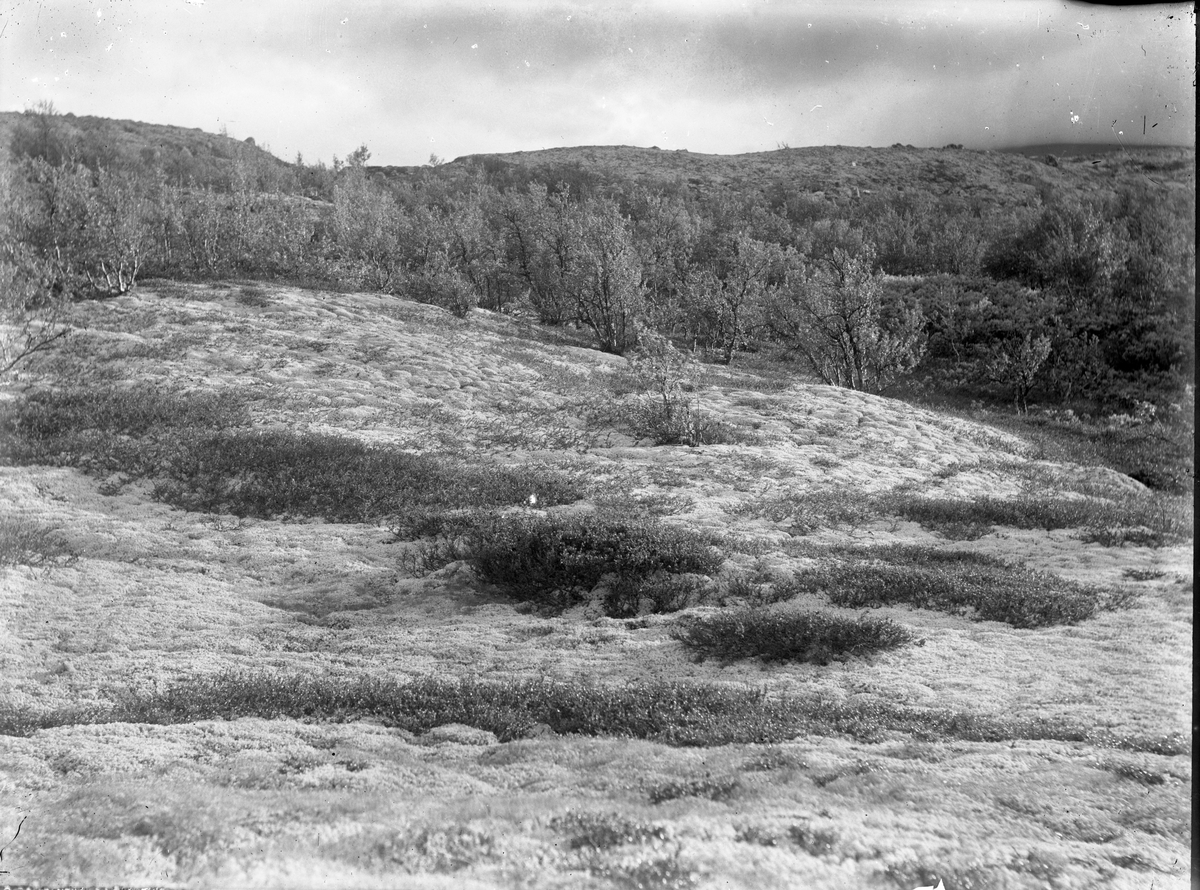 Anders O. Sørhuus, Landskap
