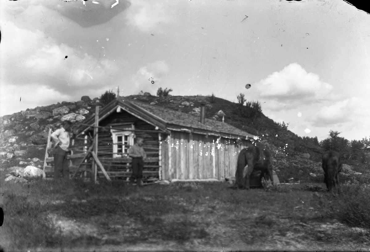 Anders O. Sørhuus, Mann og gutt med to hester
