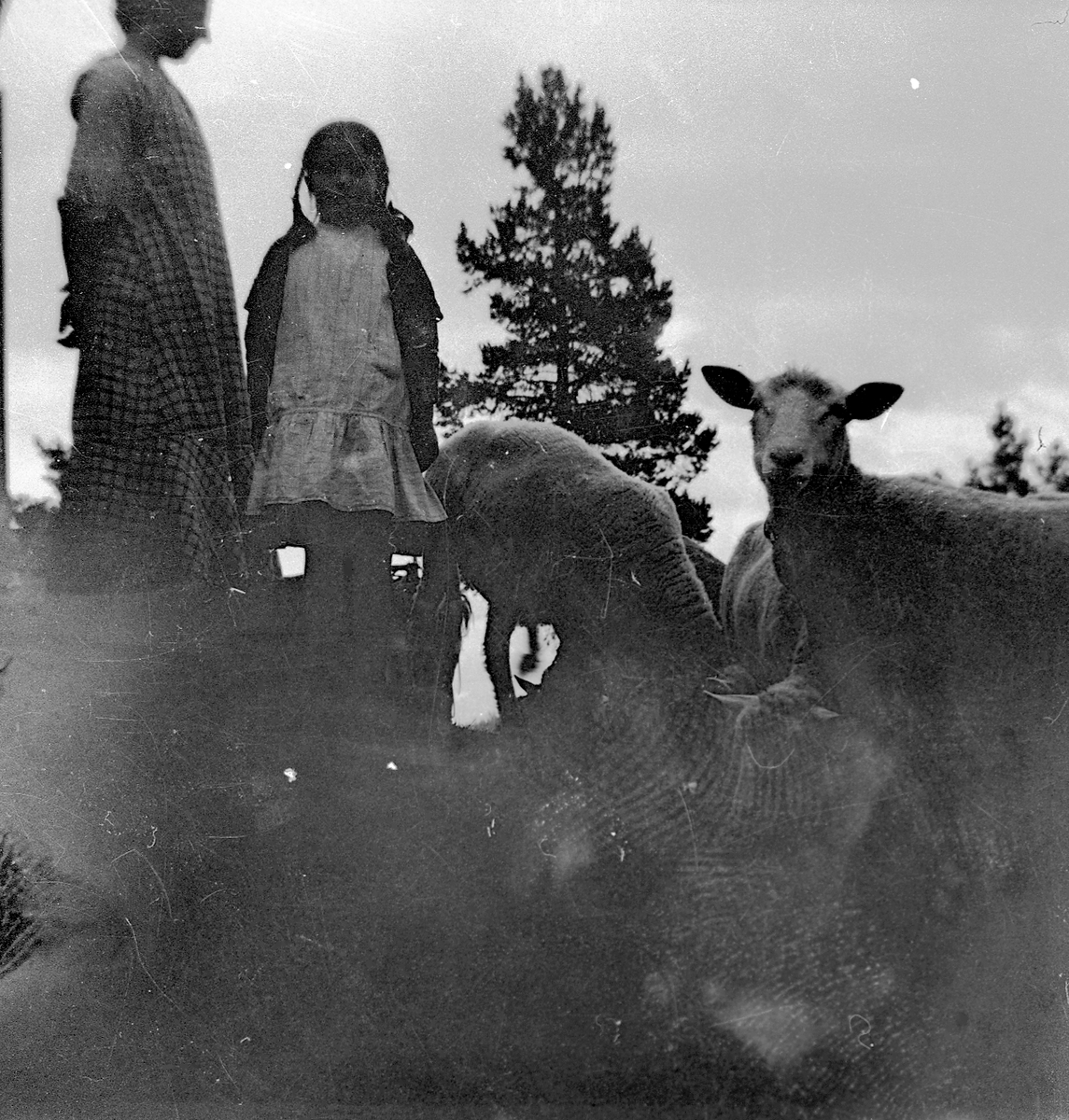 Anders O. Sørhuus, Kvinne, jente og sauer