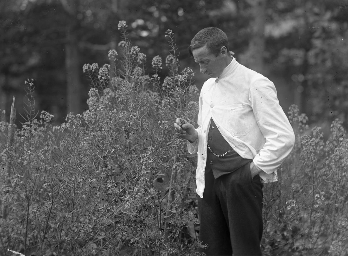 Anders O. Sørhuus, Portrett av Anders O. Sørhuus