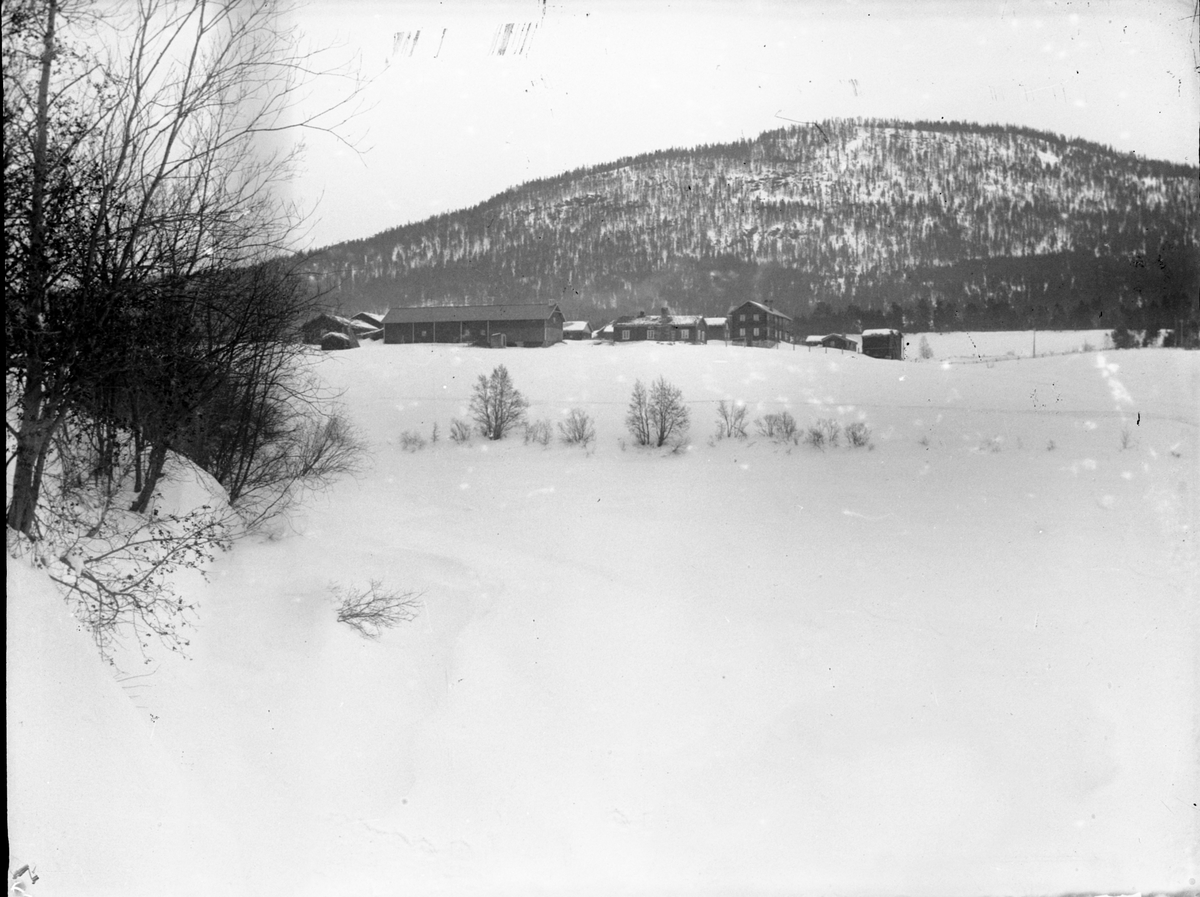 Anders O. Sørhuus, Gardsbruk