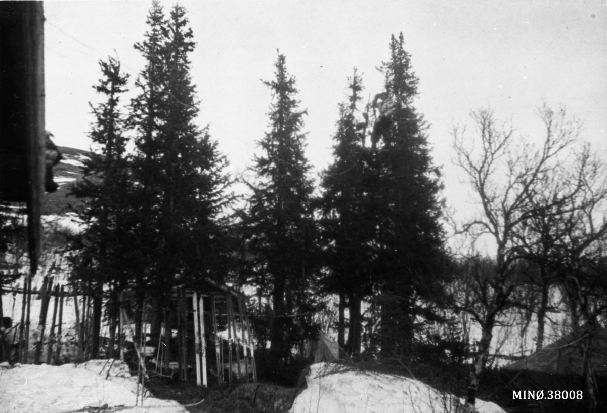 Oddvar Dobloug, Ruudshytta og ljørbu. Beboernes ski er oppstilt foran bua.