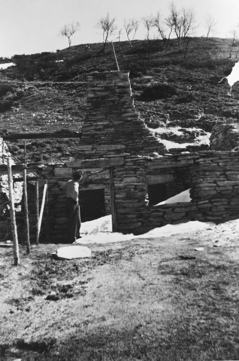 Ukjent, Rausjødalen seter, stenfjøs