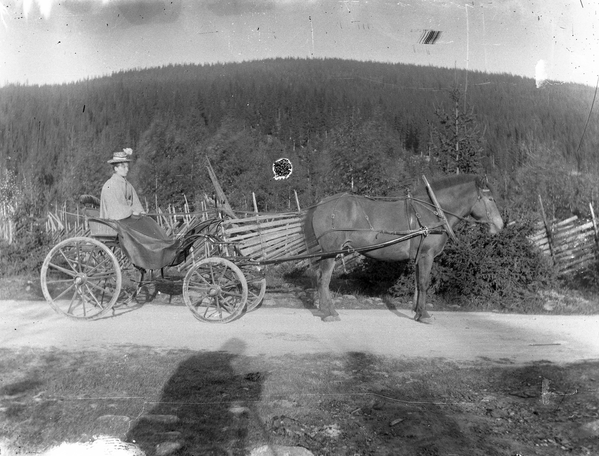 Jakob Jakobsen Engerdal, Dame m/hest og vogn.