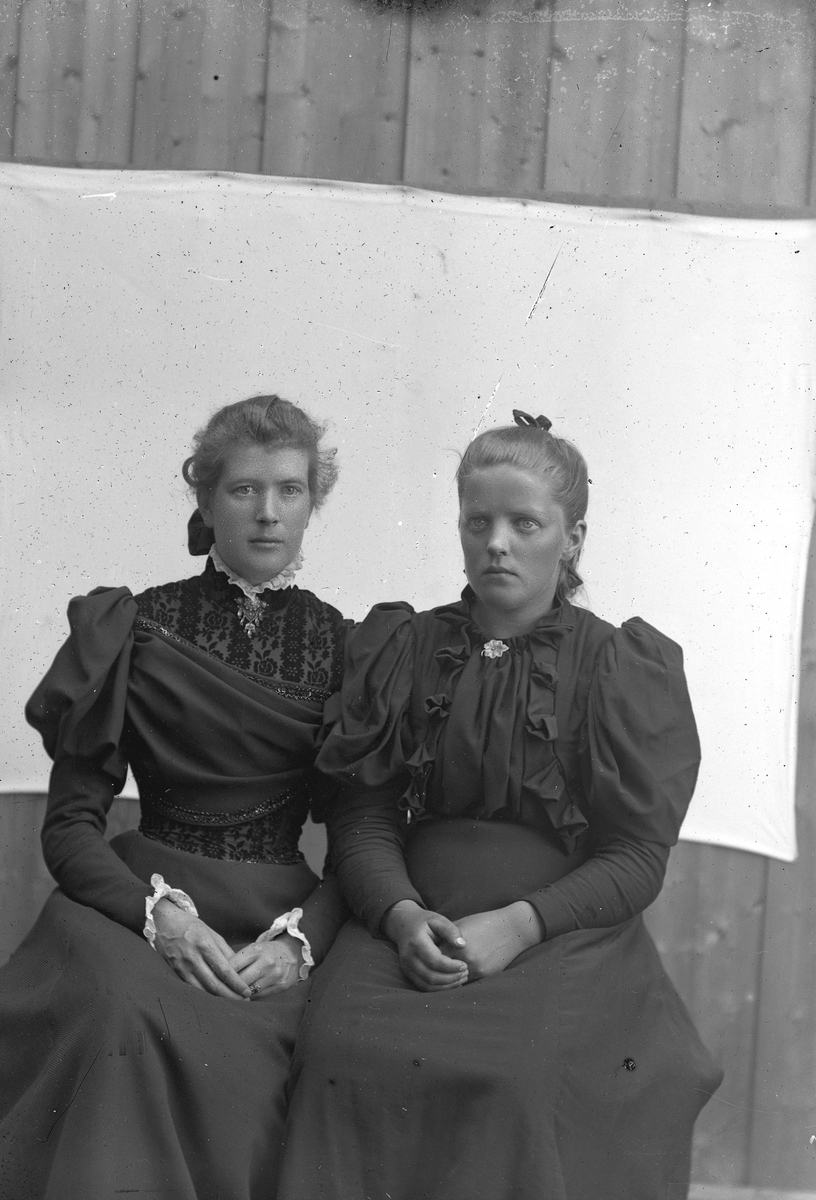 Jakob Jakobsen Engerdal, Portrett av to damer.