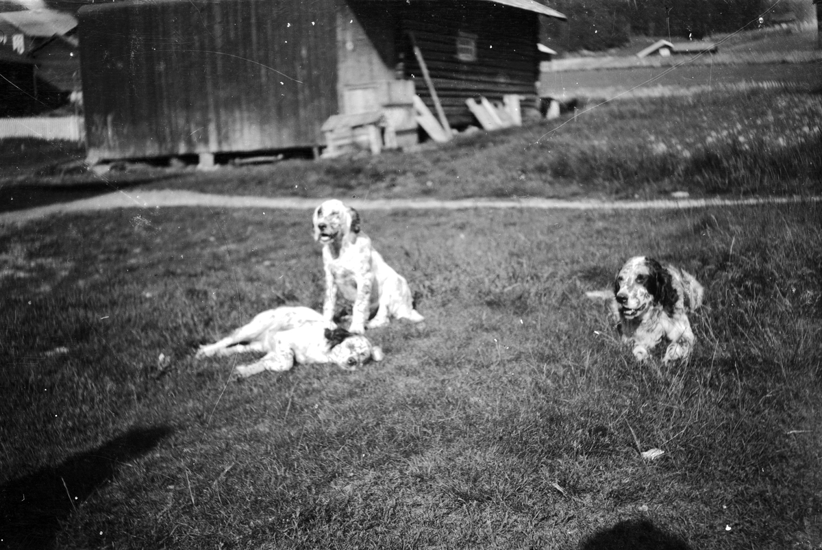 Jakob Jakobsen Engerdal, 0428-0000-06190