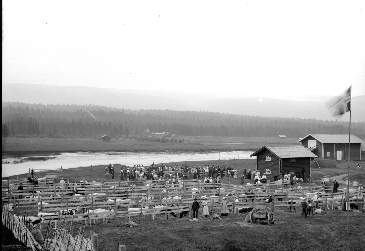 Jakob Jakobsen Engerdal, 0428-0000-06207
