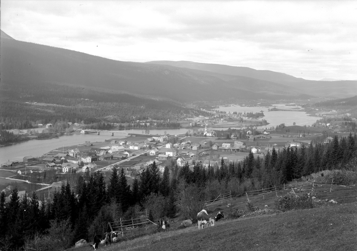 Jakob Jakobsen Engerdal, Innbygda,, Trysil sentrum. Oversiktsbilde. Antatt å kunne være 1920-tallet.