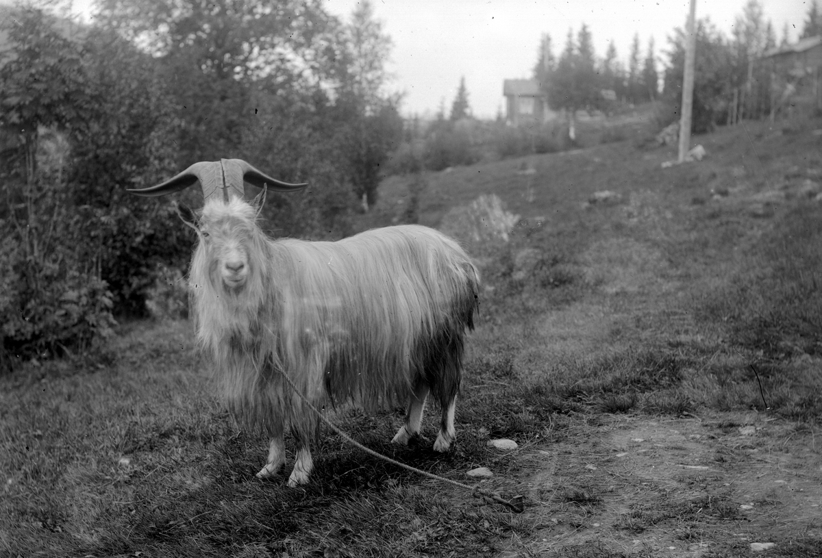 Jakob Jakobsen Engerdal, 0428-0000-06232