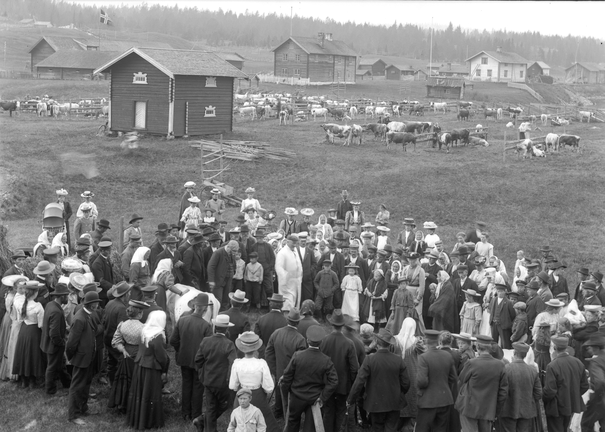 Jakob Jakobsen Engerdal, 0428-0000-06252