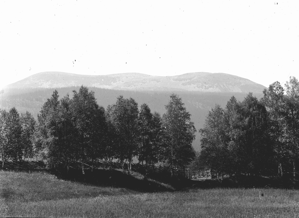 Jakob Jakobsen Engerdal, 0428-0000-06293