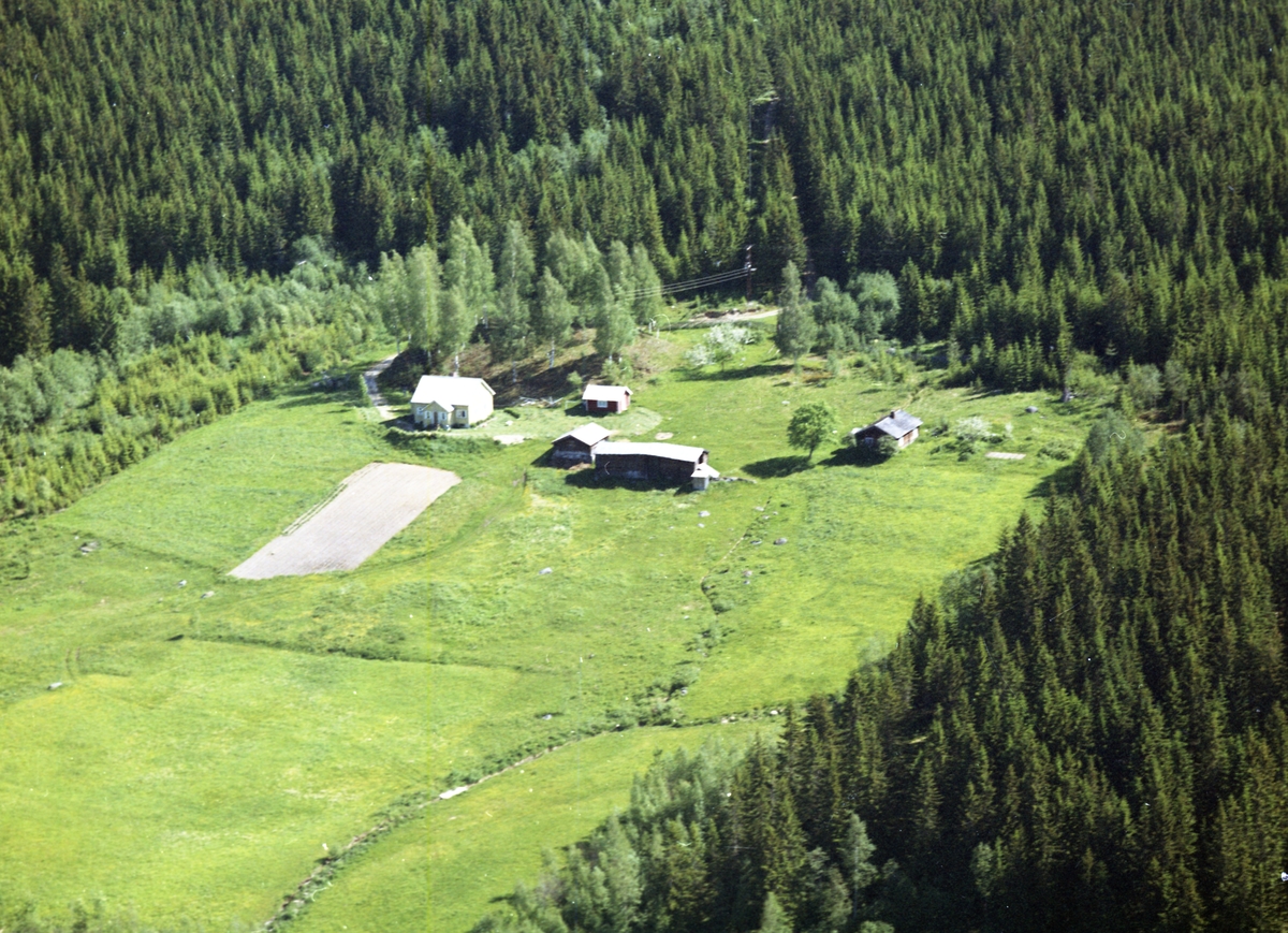 Widerøes Flyveselskap A/S, Gardsbruk