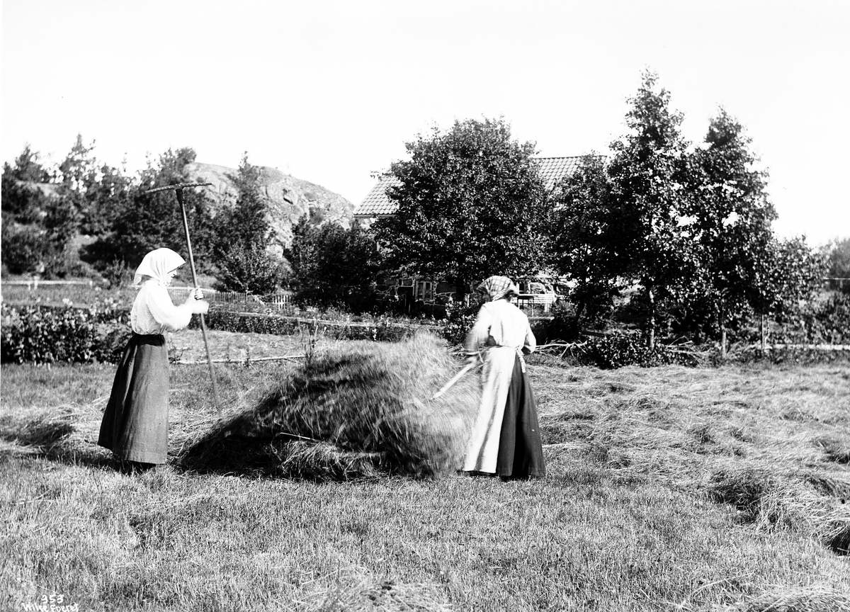 Anders Beer Wilse, NF.W00353