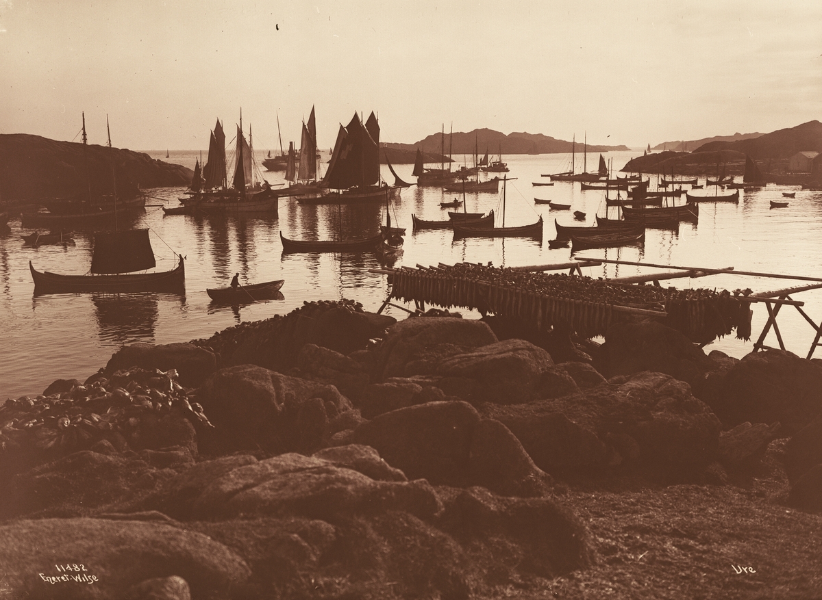 Anders Beer Wilse, Prot: Ure Havnen