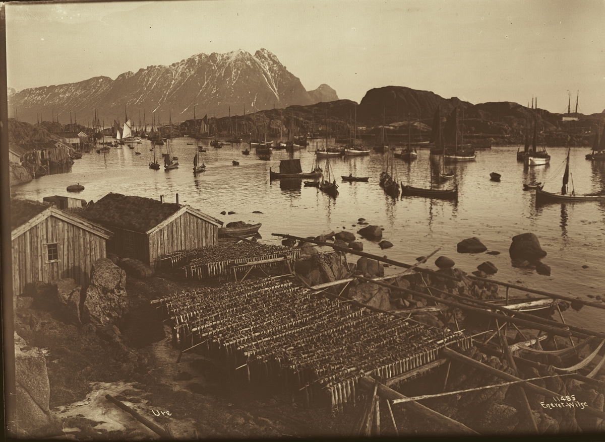 Anders Beer Wilse, Prot: Ure Havnen