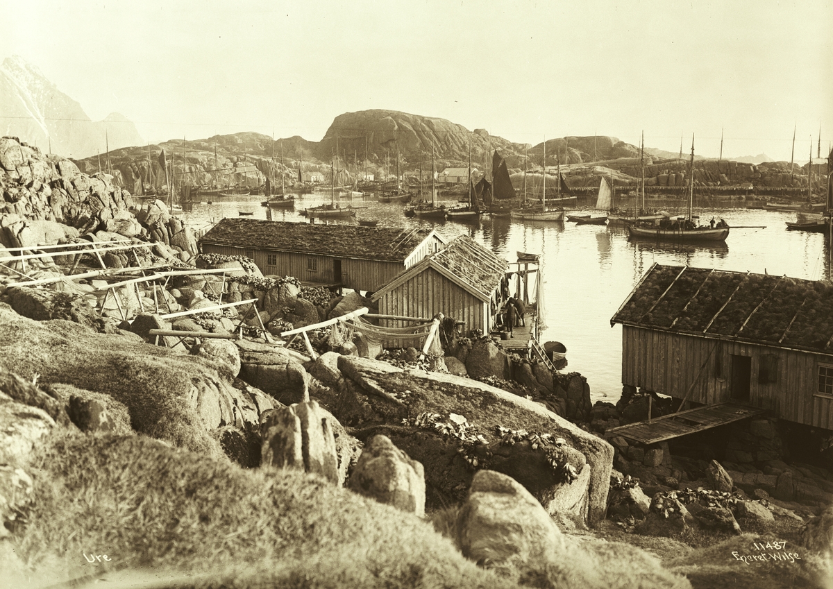 Anders Beer Wilse, Prot: Ure Havnen med Ureberjet (delevis feil i protokoll)