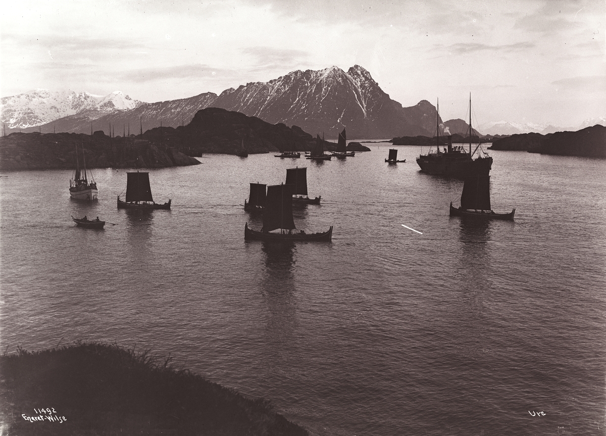 Anders Beer Wilse, Prot: Ure Havnen Fiskerflaaten kommer ind