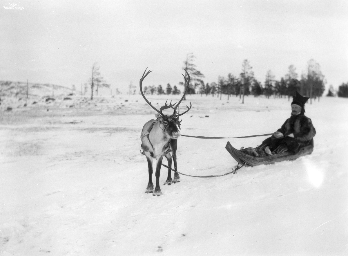 Anders Beer Wilse, Prot: Bosekop - Pulkkjøring med Ren Skogforv. Sandbu 2/3 1910