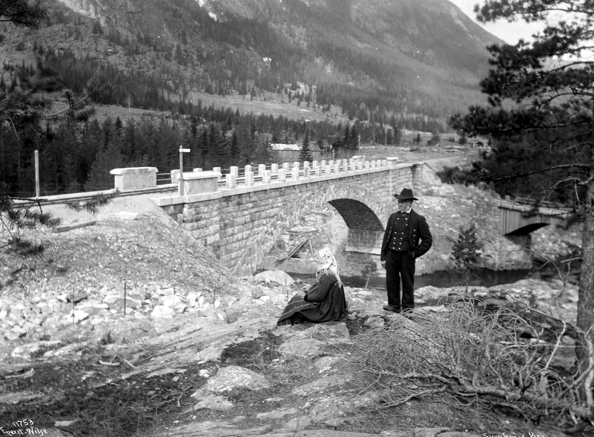 Anders Beer Wilse, Prot: Svenkerud Bro med Hallingdal 10/5 1910