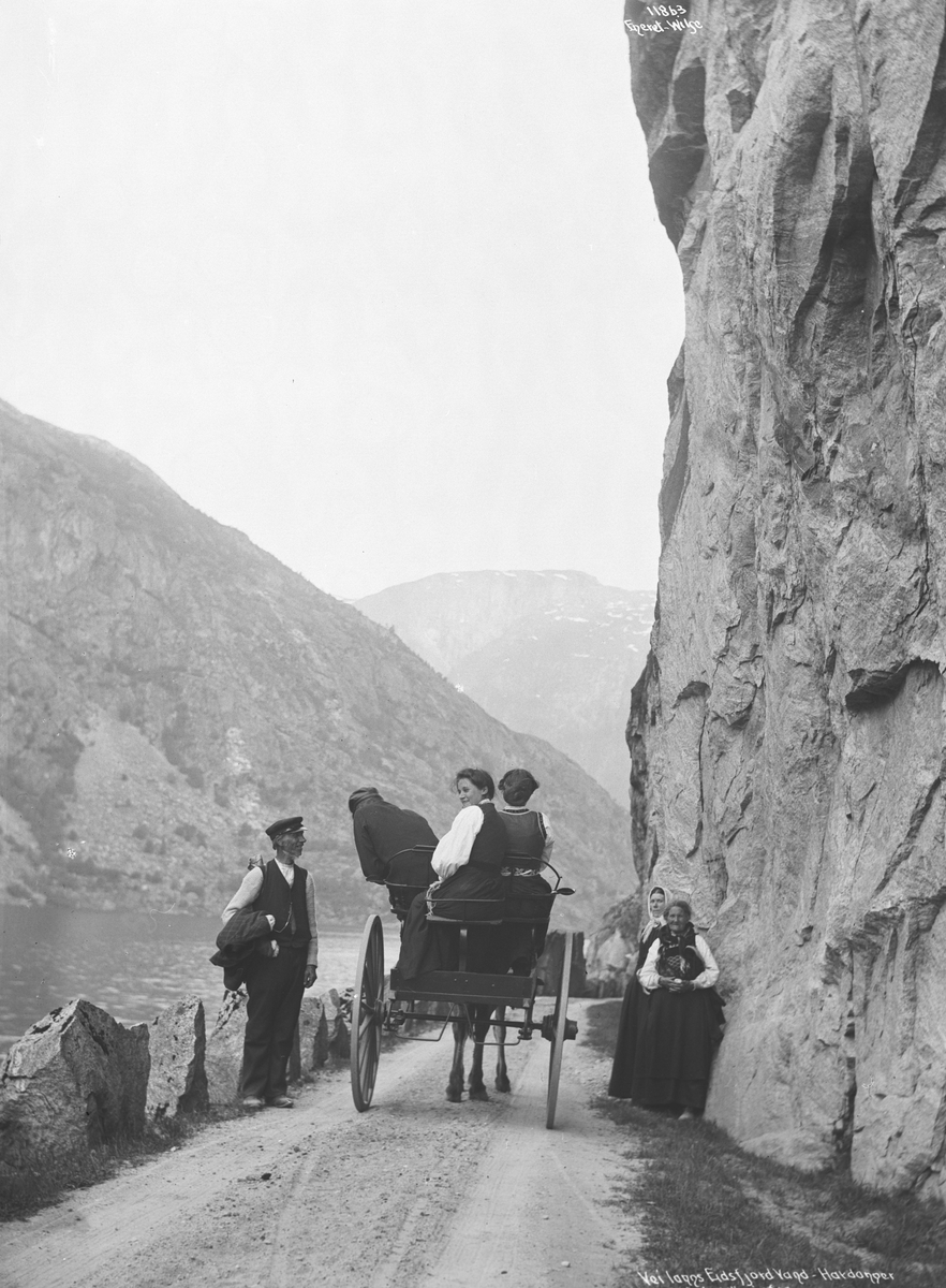 Anders Beer Wilse, Prot: Veiparti langs Eidsfjordvann 12/6 1910
