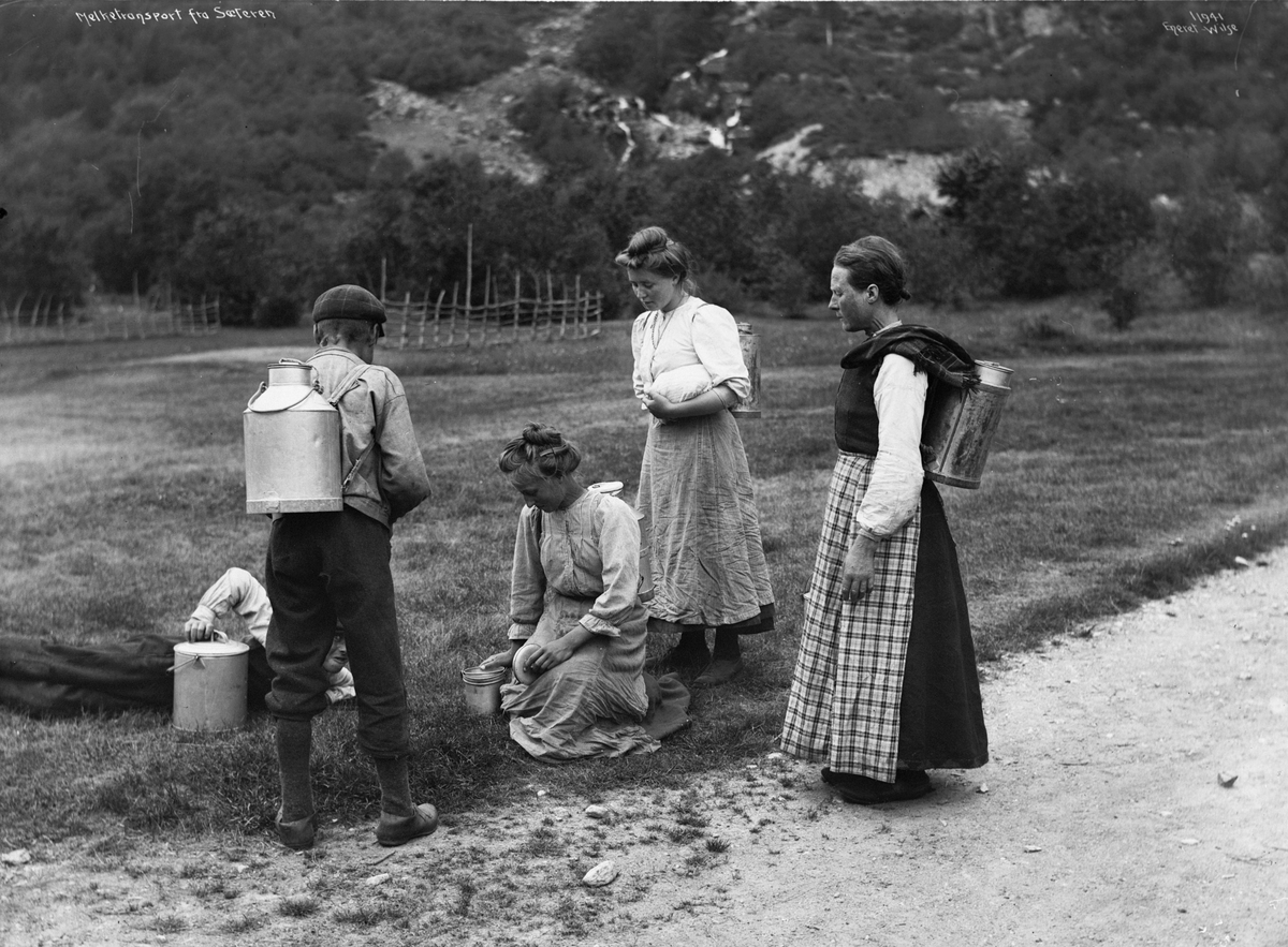 Anders Beer Wilse, Prot: Melketransport fra Sætern 1910