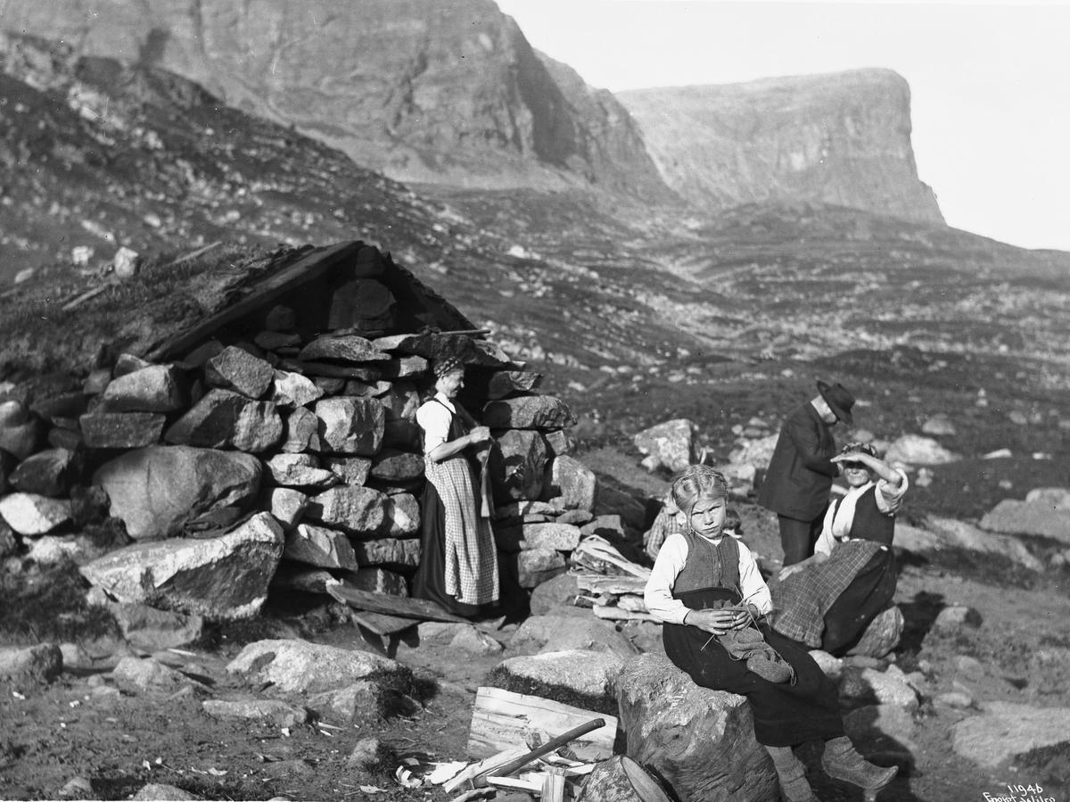 Anders Beer Wilse, Prot: Besøk paa Sætern 1910